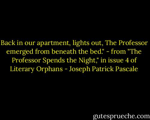 Back in our apartment, lights out, The Professor emerged from beneath the bed." - from "The Professor Spends the Night," in issue 4 of Literary Orphans - Joseph Patrick Pascale