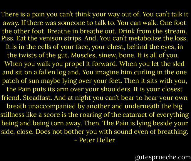 There is a pain you can’t think your way out of. You can’t talk it away. If there was someone to talk to. You can walk. One foot the other foot. Breathe in breathe out. Drink from the stream. Piss. Eat the venison strips. And. You can’t metabolize the loss. It is in the cells of your face, your chest, behind the eyes, in the twists of the gut. Muscles, sinew, bone. It is all of you. <br /><br />When you walk you propel it forward. When you let the sled and sit on a fallen log and. You imagine him curling in the one patch of sun maybe lying over your feet. Then it sits with you, the Pain puts its arm over your shoulders. It is your closest friend. Steadfast. And at night you can’t bear to hear your own breath unaccompanied by another and underneath the big stillness like a score is the roaring of the cataract of everything being and being torn away. Then. The Pain is lying beside your side, close. Does not bother you with sound even of breathing. - Peter Heller