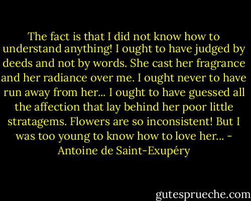 The fact is that I did not know how to understand anything! I ought to have judged by deeds and not by words. She cast her fragrance and her radiance over me. I ought never to have run away from her... I ought to have guessed all the affection that lay behind her poor little stratagems. Flowers are so inconsistent! But I was too young to know how to love her... - Antoine de Saint-Exupéry