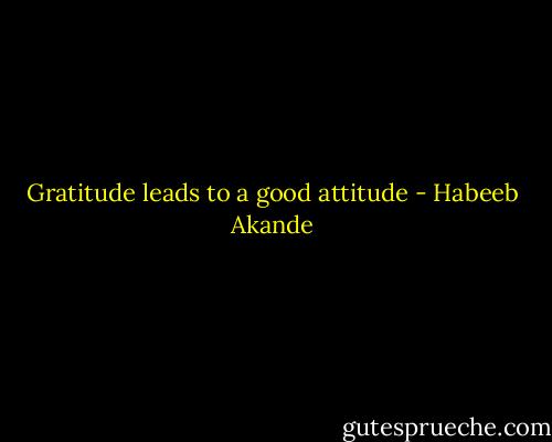 Gratitude leads to a good attitude - Habeeb Akande
