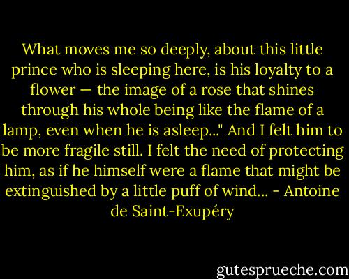What moves me so deeply, about this little prince who is sleeping here, is his loyalty to a flower — the image of a rose that shines through his whole being like the flame of a lamp, even when he is asleep..." And I felt him to be more fragile still. I felt the need of protecting him, as if he himself were a flame that might be extinguished by a little puff of wind... - Antoine de Saint-Exupéry
