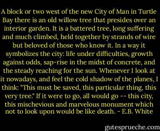 A block or two west of the new City of Man in Turtle Bay there is an old willow tree that presides over an interior garden. It is a battered tree, long suffering and much climbed, held together by strands of wire but beloved of those who know it. In a way it symbolizes the city: life under difficulties, growth against odds, sap-rise in the midst of concrete, and the steady reaching for the sun. Whenever I look at it nowadays, and feel the cold shadow of the planes, I think: "This must be saved, this particular thing, this very tree." If it were to go, all would go -- this city, this mischevious and marvelous monument which not to look upon would be like death. - E.B. White