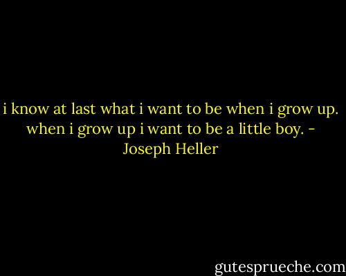 i know at last what i want to be when i grow up. when i grow up i want to be a little boy. - Joseph Heller