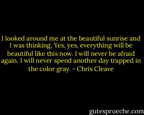 I looked around me at the beautiful sunrise and I was thinking, Yes, yes, everything will be beautiful like this now. I will never be afraid again. I will never spend another day trapped in the color gray. - Chris Cleave