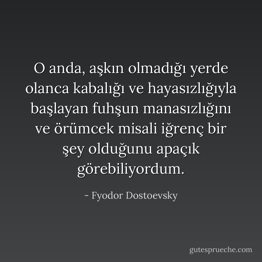 O anda, aşkın olmadığı yerde olanca kabalığı ve hayasızlığıyla başlayan fuhşun manasızlığını ve örümcek misali iğrenç bir şey olduğunu apaçık görebiliyordum. - Fyodor Dostoevsky