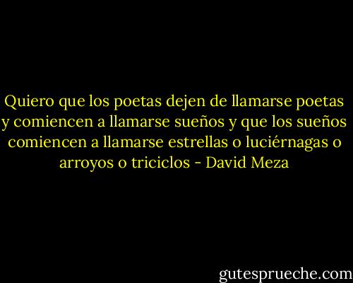 Quiero que los poetas dejen de llamarse poetas y comiencen a llamarse sueños y que los sueños comiencen a llamarse estrellas o luciérnagas o arroyos o triciclos - David Meza
