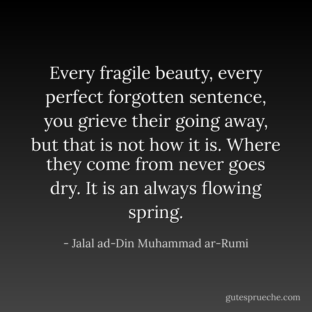 Every fragile beauty, every perfect forgotten sentence,<br />you grieve their going away, but that is not how it is.<br />Where they come from never goes dry.<br />It is an always flowing spring. - Jalal ad-Din Muhammad ar-Rumi