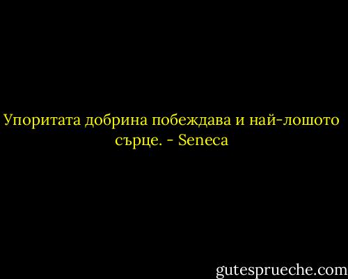 Упоритата добрина побеждава и най-лошото сърце. - Seneca
