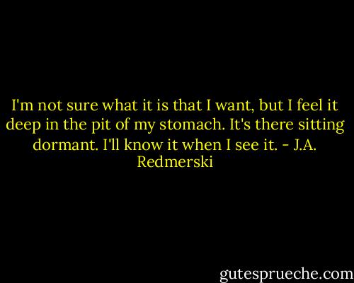 I'm not sure what it is that I want, but I feel it deep in the pit of my stomach. It's there sitting dormant. I'll know it when I see it. - J.A. Redmerski