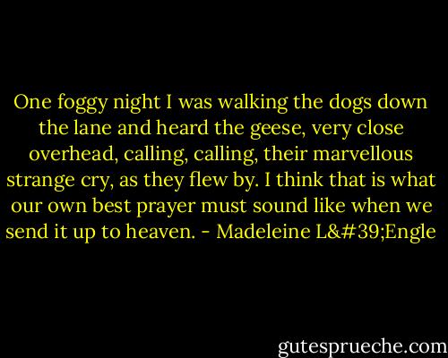 One foggy night I was walking the dogs down the lane and heard the geese, very close overhead, calling, calling, their marvellous strange cry, as they flew by. I think that is what our own best prayer must sound like when we send it up to heaven. - Madeleine L'Engle