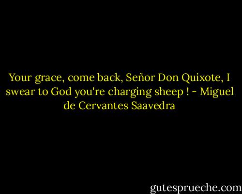 Your grace, come back, Señor Don Quixote, I swear to God you're charging sheep ! - Miguel de Cervantes Saavedra