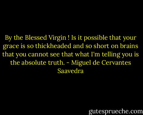 By the Blessed Virgin ! Is it possible that your grace is so thickheaded and so short on brains that you cannot see that what I'm telling you is the absolute truth. - Miguel de Cervantes Saavedra