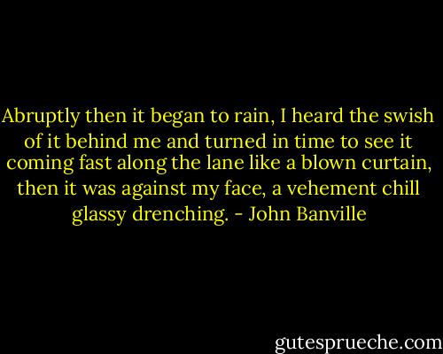Abruptly then it began to rain, I heard the swish of it behind me and turned in time to see it coming fast along the lane like a blown curtain, then it was against my face, a vehement chill glassy drenching. - John Banville