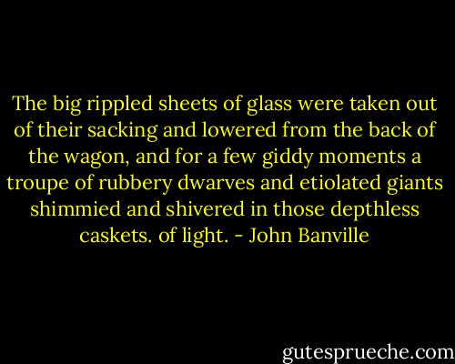 The big rippled sheets of glass were taken out of their sacking and lowered from the back of the wagon, and for a few giddy moments a troupe of rubbery dwarves and etiolated giants shimmied and shivered in those depthless caskets. of light. - John Banville