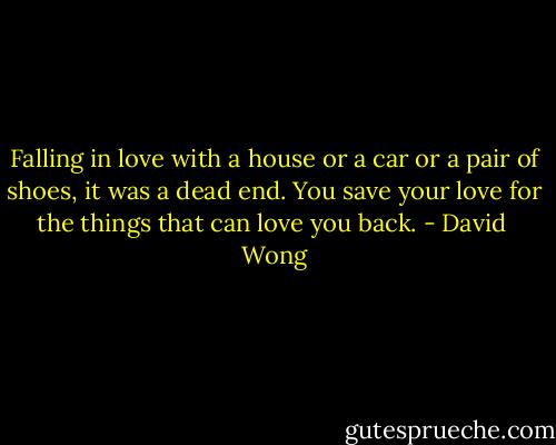 Falling in love with a house or a car or a pair of shoes, it was a dead end. You save your love for the things that can love you back. - David  Wong
