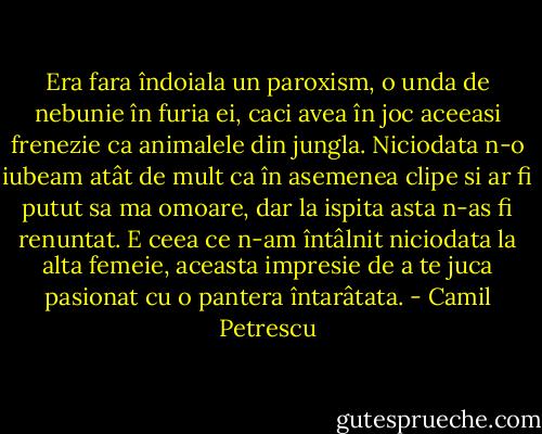 Era fara îndoiala un paroxism, o unda de nebunie în furia ei, caci avea în joc aceeasi frenezie ca animalele din jungla. Niciodata n-o iubeam atât de mult ca în asemenea clipe si ar fi putut sa ma omoare, dar la ispita asta n-as fi renuntat. E ceea ce n-am întâlnit niciodata la alta femeie, aceasta impresie de a te juca pasionat cu o pantera întarâtata. - Camil Petrescu