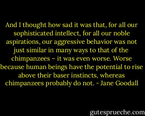 And I thought how sad it was that, for all our sophisticated intellect, for all our noble aspirations, our aggressive behavior was not just similar in many ways to that of the chimpanzees – it was even worse. Worse because human beings have the potential to rise above their baser instincts, whereas chimpanzees probably do not. - Jane Goodall