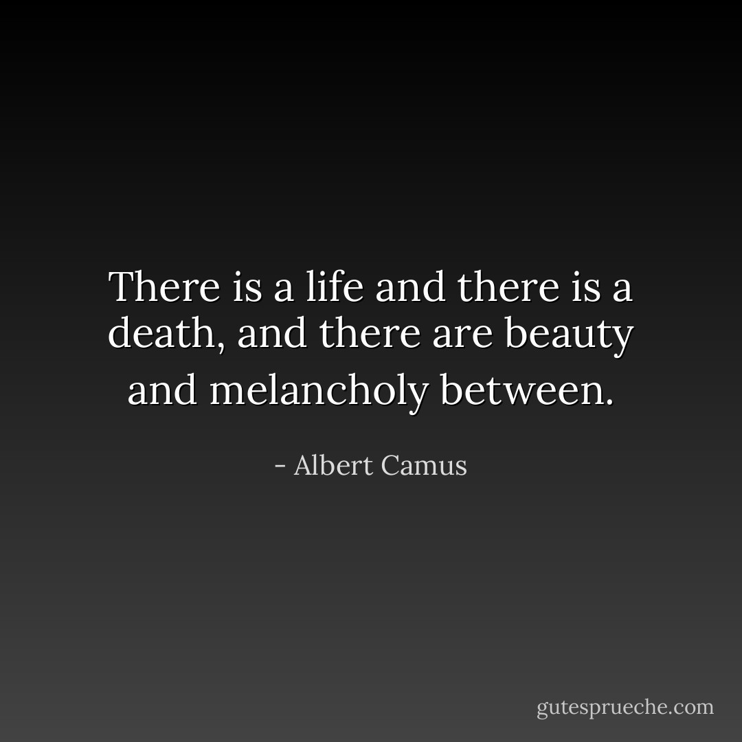 There is a life and there is a death, and there are beauty and melancholy between. - Albert Camus
