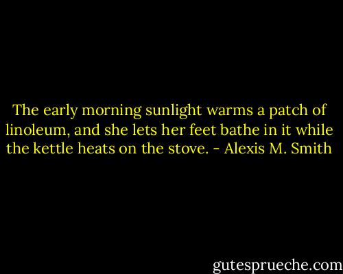 The early morning sunlight warms a patch of linoleum, and she lets her feet bathe in it while the kettle heats on the stove. - Alexis M. Smith