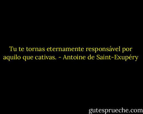 Tu te tornas eternamente responsável por aquilo que cativas. - Antoine de Saint-Exupéry