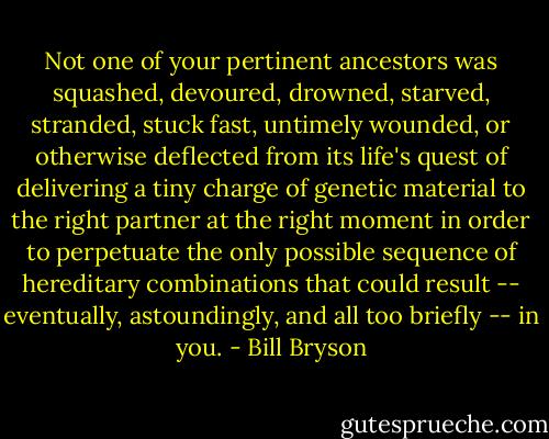 Not one of your pertinent ancestors was squashed, devoured, drowned, starved, stranded, stuck fast, untimely wounded, or otherwise deflected from its life's quest of delivering a tiny charge of genetic material to the right partner at the right moment in order to perpetuate the only possible sequence of hereditary combinations that could result -- eventually, astoundingly, and all too briefly -- in you. - Bill Bryson