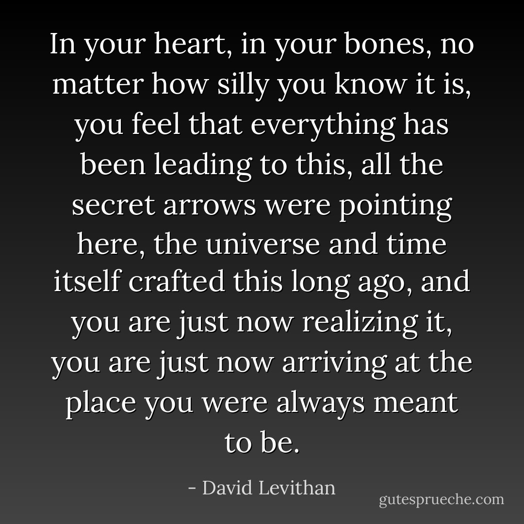 In your heart, in your bones, no matter how silly you know it is, you feel that everything has been leading to<br />this, all the secret arrows were pointing here, the universe and time itself crafted this long ago, and you are just now realizing it, you are just now<br />arriving at the place you were always meant to be. - David Levithan