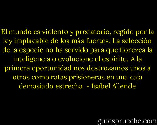 El mundo es violento y predatorio, regido por la ley implacable de los más fuertes. La selección de la especie no ha servido para que florezca la inteligencia o evolucione el espíritu. A la primera oportunidad nos destrozamos unos a otros como ratas prisioneras en una caja demasiado estrecha. - Isabel Allende