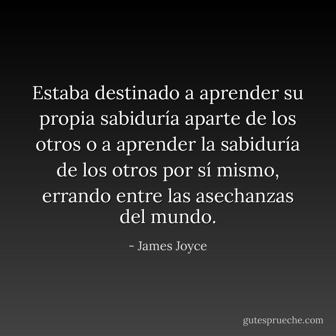 Estaba destinado a aprender su propia sabiduría aparte de los otros o a aprender la sabiduría de los otros por sí mismo, errando entre las asechanzas del mundo. - James Joyce