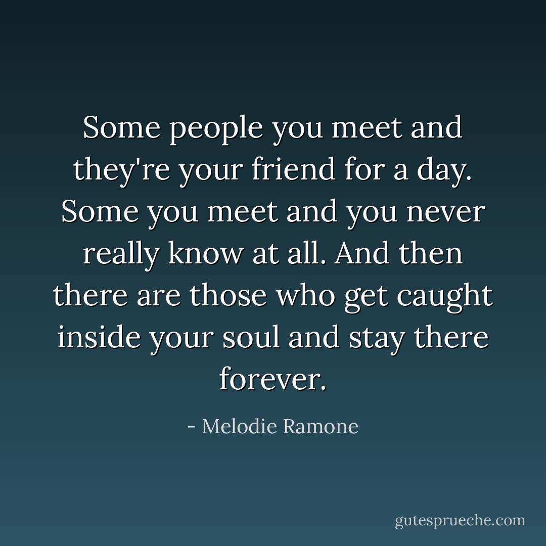 Some people you meet and they're your friend for a day. Some you meet and you never really know at all. And then there are those who get caught inside your soul and stay there forever. - Melodie Ramone