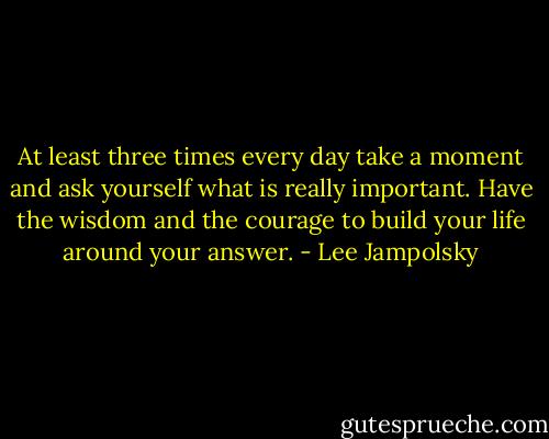 At least three times every day take a moment and ask yourself what is really important. Have the wisdom and the courage to build your life around your answer. - Lee Jampolsky