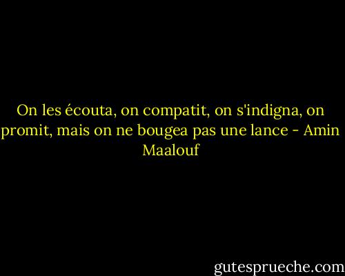 On les écouta, on compatit, on s'indigna, on promit, mais on ne bougea pas une lance - Amin Maalouf