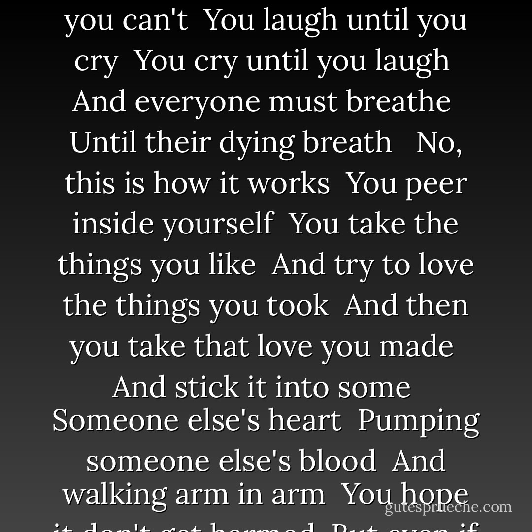 This is how it works <br />You're young until you're not <br />You love until you don't <br />You try until you can't <br />You laugh until you cry <br />You cry until you laugh <br />And everyone must breathe <br />Until their dying breath <br /><br />No, this is how it works <br />You peer inside yourself <br />You take the things you like <br />And try to love the things you took <br />And then you take that love you made <br />And stick it into some <br />Someone else's heart <br />Pumping someone else's blood <br />And walking arm in arm <br />You hope it don't get harmed <br />But even if it does <br />You'll just do it all again - Regina Spektor