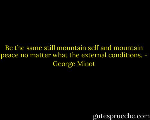 Be the same still mountain self and mountain peace no matter what the external conditions. - George Minot