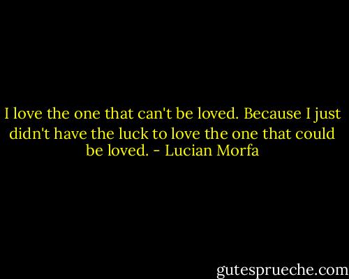 I love the one that can't be loved. Because I just didn't have the luck to love the one that could be loved. - Lucian Morfa