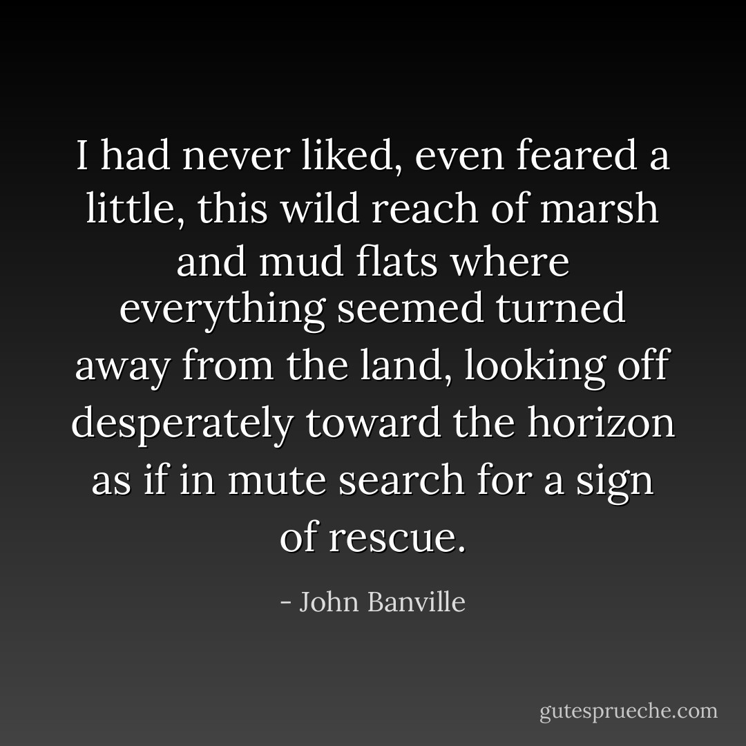 I had never liked, even feared a little, this wild reach of marsh and mud flats where everything seemed turned away from the land, looking off desperately toward the horizon as if in mute search for a sign of rescue. - John Banville