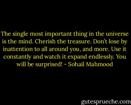 The single most important thing in the universe is the mind. Cherish the treasure. Don’t lose by inattention to all around you, and more. Use it constantly and watch it expand endlessly. You will be surprised! - Sohail Mahmood
