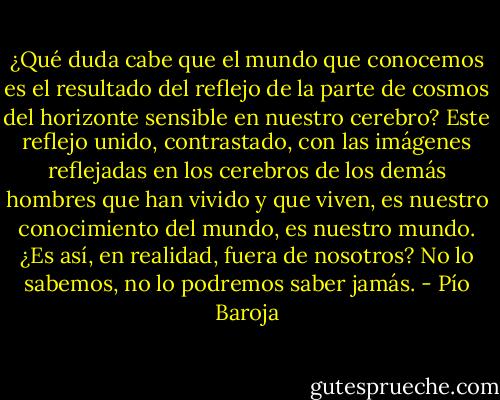 ¿Qué duda cabe que el mundo que conocemos es el resultado del reflejo de la parte de cosmos del horizonte sensible en nuestro cerebro? Este reflejo unido, contrastado, con las imágenes reflejadas en los cerebros de los demás hombres que han vivido y que viven, es nuestro conocimiento del mundo, es nuestro mundo. ¿Es así, en realidad, fuera de nosotros? No lo sabemos, no lo podremos saber jamás. - Pío Baroja