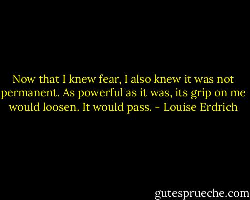Now that I knew fear, I also knew it was not permanent. As powerful as it was, its grip on me would loosen. It would pass. - Louise Erdrich