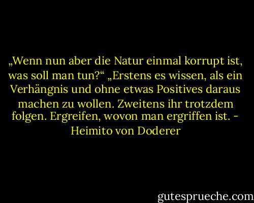 „Wenn nun aber die Natur einmal korrupt ist, was soll man tun?“<br />„Erstens es wissen, als ein Verhängnis und ohne etwas Positives daraus machen zu wollen. Zweitens ihr trotzdem folgen. Ergreifen, wovon man ergriffen ist. - Heimito von Doderer