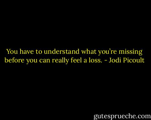 You have to understand what you’re missing before you can really feel a loss. - Jodi Picoult
