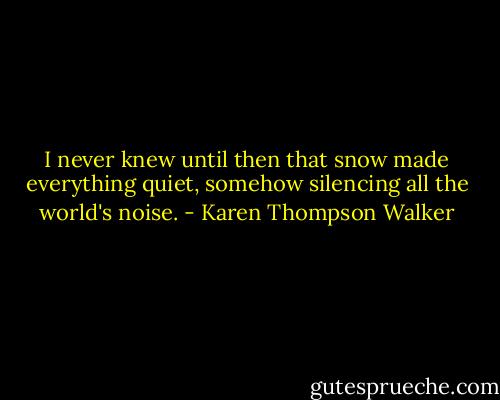 I never knew until then that snow made everything quiet, somehow silencing all the world's noise. - Karen Thompson Walker