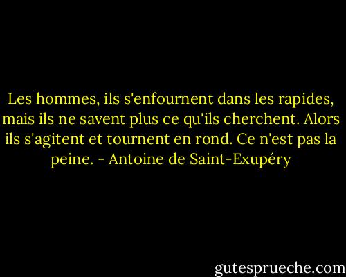 Les hommes, ils s'enfournent dans les rapides, mais ils ne savent plus ce qu'ils cherchent. Alors ils s'agitent et tournent en rond. Ce n'est pas la peine. - Antoine de Saint-Exupéry