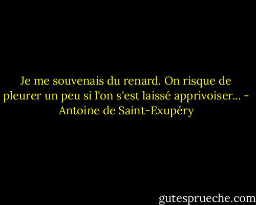 Je me souvenais du renard. On risque de pleurer un peu si l'on s'est laissé apprivoiser... - Antoine de Saint-Exupéry