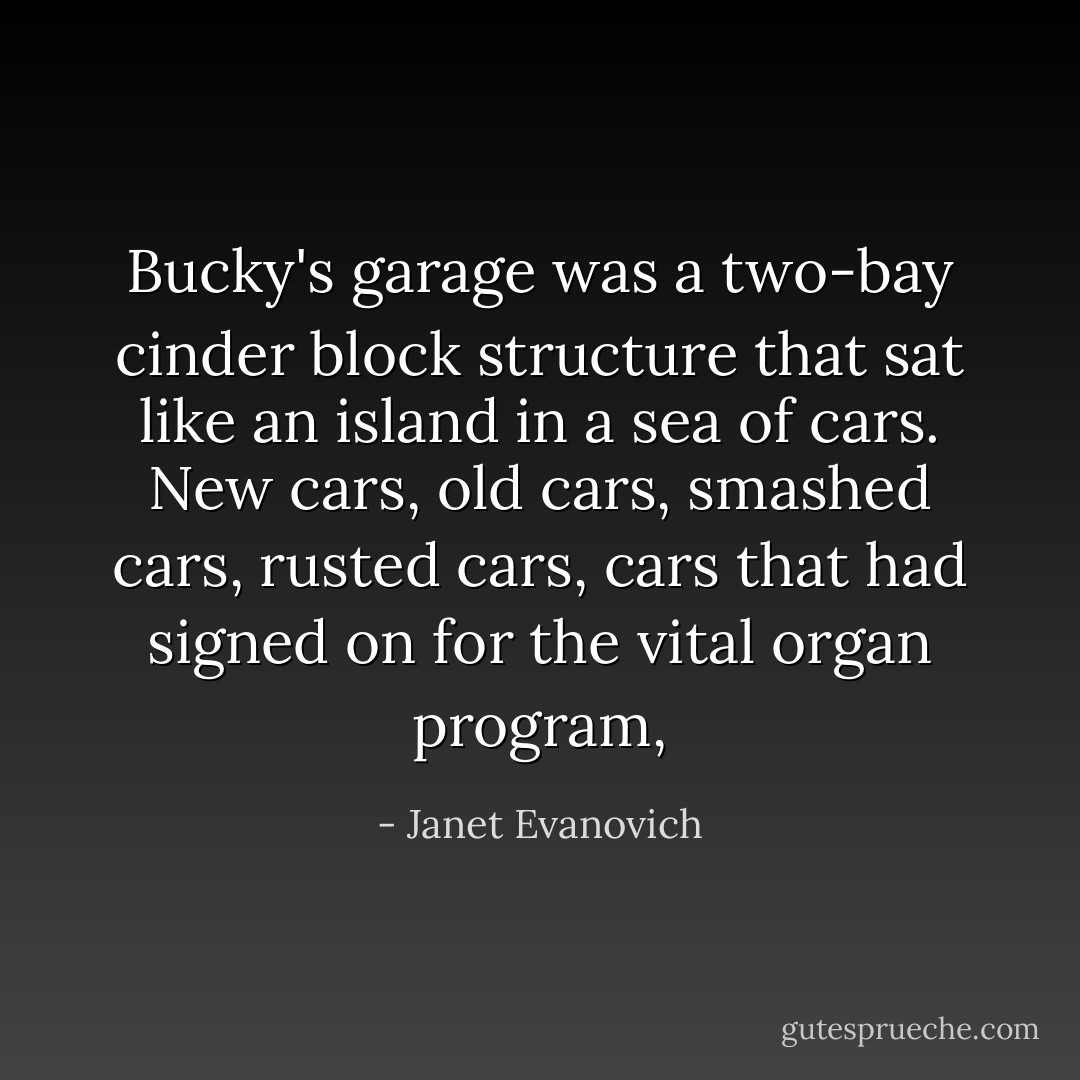 Bucky's garage was a two-bay cinder block structure that sat like an island in a sea of cars. New cars, old cars, smashed cars, rusted cars, cars that had signed on for the vital organ program, - Janet Evanovich