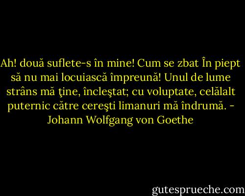 Ah! două suflete-s în mine! Cum se zbat<br />În piept să nu mai locuiască împreună! Unul de lume<br />strâns mă ţine, încleştat; cu voluptate, celălalt<br />puternic către cereşti limanuri mă îndrumă. - Johann Wolfgang von Goethe