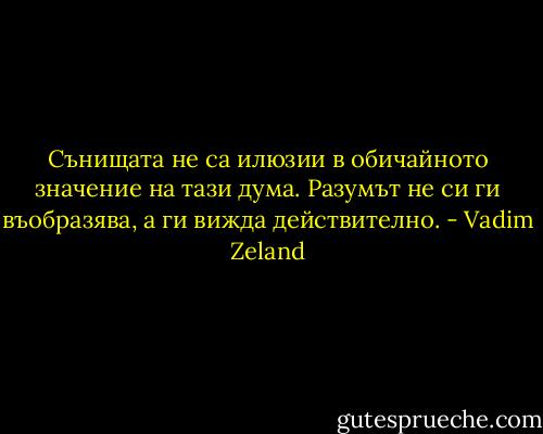 Сънищата не са илюзии в обичайното значение на тази дума. Разумът не си ги въобразява, а ги вижда действително. - Vadim Zeland