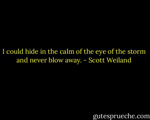 I could hide in the calm of the eye of the storm and never blow away. - Scott Weiland