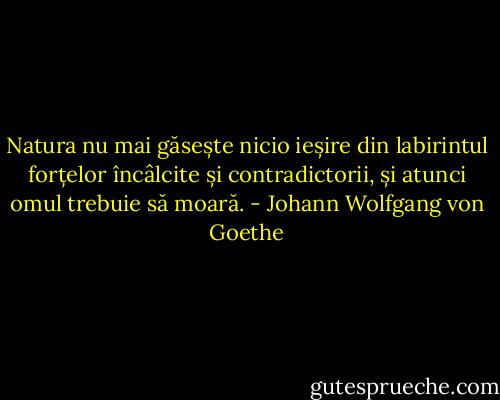 Natura nu mai găsește nicio ieșire din labirintul forțelor încâlcite și contradictorii, și atunci omul trebuie să moară. - Johann Wolfgang von Goethe