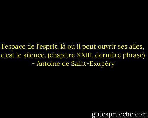 l'espace de l'esprit, là où il peut ouvrir ses ailes, c'est le silence.<br />(chapitre XXIII, dernière phrase) - Antoine de Saint-Exupéry