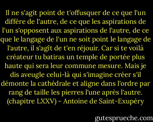 Il ne s'agit point de t'offusquer de ce que l'un diffère de l'autre, de ce que les aspirations de l'un s'opposent aux aspirations de l'autre, de ce que le langage de l'un ne soit point le langage de l'autre, il s'agît de t'en réjouir. Car si te voilà créateur tu batiras un temple de portée plus haute qui sera leur commune mesure.<br />Mais je dis aveugle celui-là qui s'imagine créer s'il démonte la cathédrale et aligne dans l'ordre par rang de taille les pierres l'une après l'autre.<br />(chapitre LXXV) - Antoine de Saint-Exupéry